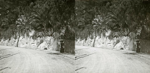 BAL 0502 006