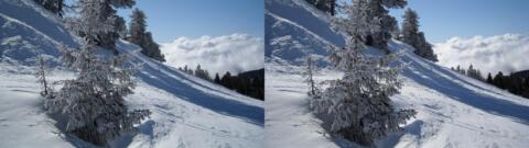 2009-02-Chamrousse09.jpg