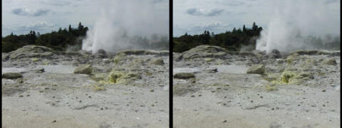 Te Puia. Geyser.