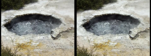 Te Puia. Eau bouillonnante.