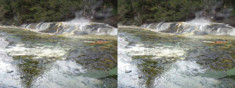Vallée géothermique de Waimangu. Rivière d'eau chaude.