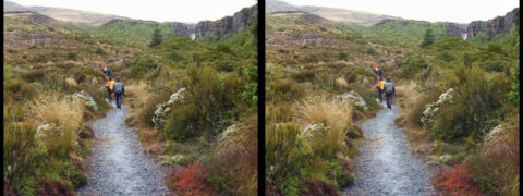 Parc national de Tongariro.