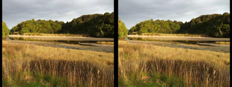 Ile de Stewart (la plus au sud de NZ)
