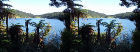 Ile de Stewart (la plus au sud de NZ)