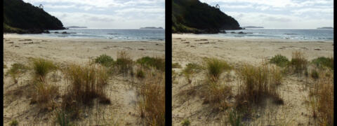 Ile de Stewart (la plus au sud de NZ)
