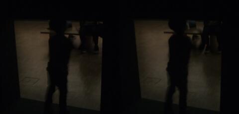 Devant la caverne, exposition Préhistoire