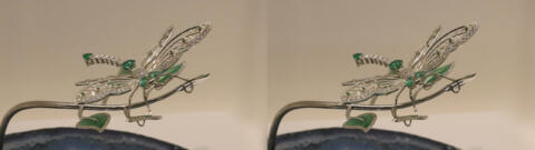 Odonata par Alexandre Gavand