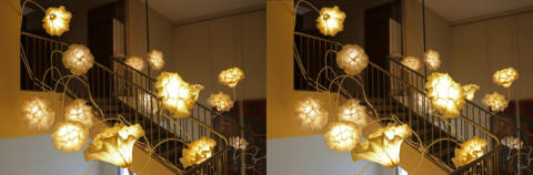 Sculptures lumineuses Coralys
