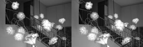 Sculptures lumineuses Coralys