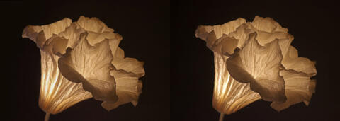 Sculptures lumineuses Coralys
