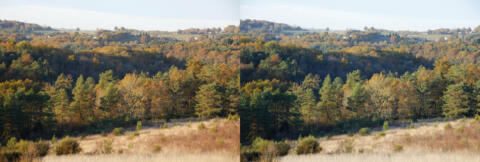Bois jusqu'à la colline en face, automne