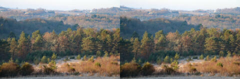 Vers la colline, en hiver