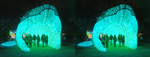 Illuminations