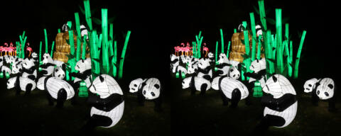 Pandas