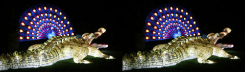 Crocodile et Paon