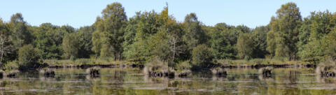 L'eau a baissé laissant voir des ilots témoins