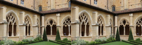 Le cloître : gothique flamboyant du XVème siècle
