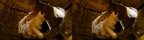 Grottes de St. Christophe