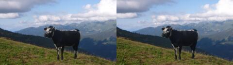 Col du Merdaret