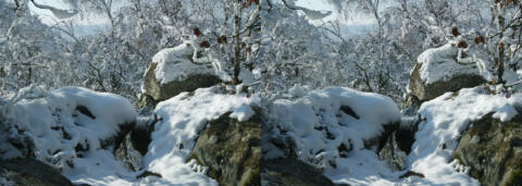 Neige