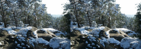 Neige