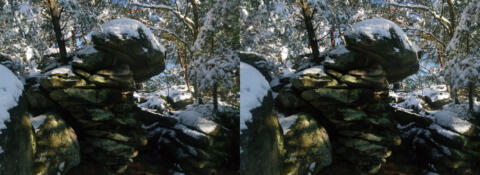 Neige