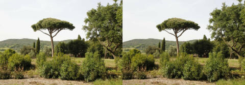 Nécropole étrusque de Banditaccia