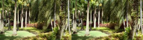 Dans un autre parc à Belo Horizonte