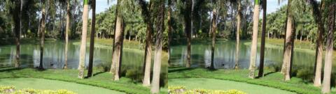 Aussi dans ce jardin