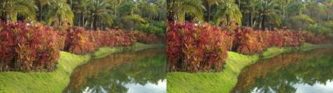 Aussi dans ce jardin