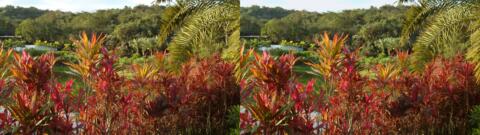 Aussi dans ce jardin