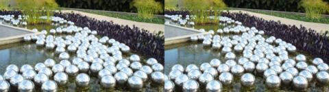 Aussi dans ce jardin