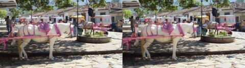 à Tiradentes
