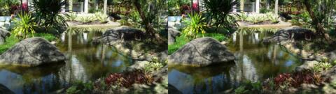 dans le même jardin