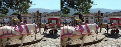 Cheval a Tiradentes (Bresil)