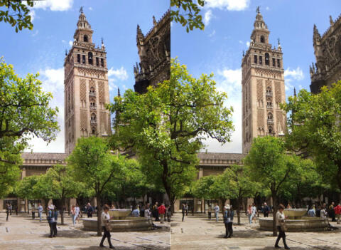 La Giralda et le patio des orangers