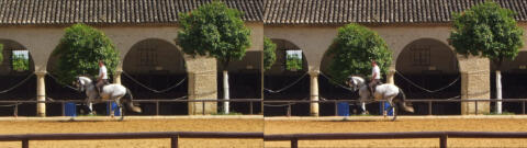 Dans les écuries royales