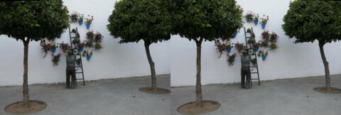 Quartier fleuri