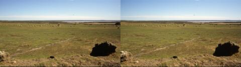 Presqu'ile de Valdès