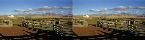 Parc à moutons, région de El Calafate
