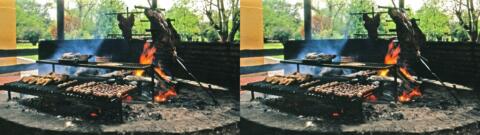 Grillade argentine