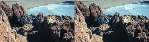 Réserve Punta Tombo, manchots