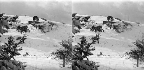 Neige à Bouzareah