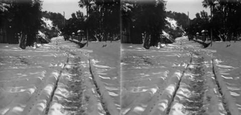Neige à Bouzareah