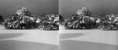Neige à Bouzareah