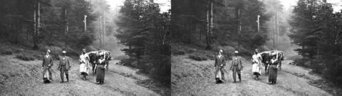 Excursion