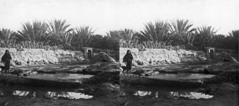 Oasis El Kanthara