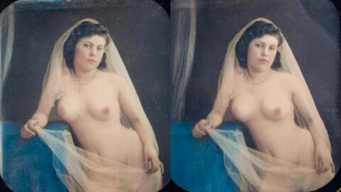 Jeune Mariée au Voile
