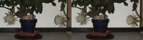 DSCF5259 s1