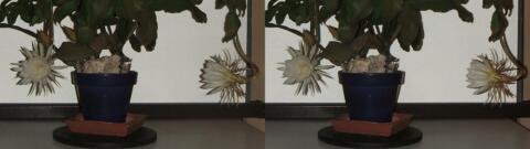 DSCF5263 s1